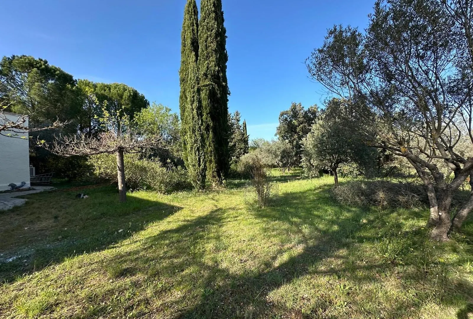 Holiday home La Villa Olea Cotignac France